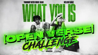 YoungBoy 'What You Is' [OPEN VERSE][CLEAN]