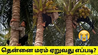 தென்னை மரம் ஏறுவது எப்படி? | Fast Challenge 😭 | Nivas Vlog