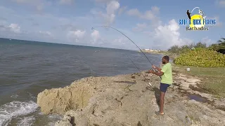 Here We Go Again / Another Early Morning Catch