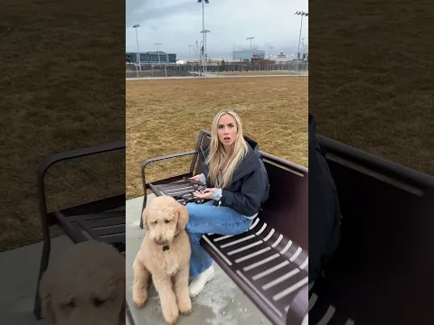 Thank me later #dog #funnydog #dating