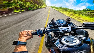 TUDO QUE A TIGER 660 DA - TOP SPEED