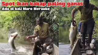 Luar biasa! Mancing ikan kakap pake umpan udang  dapatnya Monster" semua. 