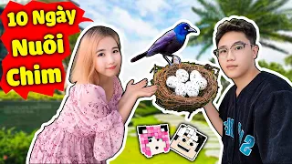 REDHOOD VÀ MỀU THỬ THÁCH 10 NGÀY NUÔI CHIM LÀM THÚ CƯNG MỚI NGOÀI ĐỜI THẬT*CẶP ĐÔI SIÊU QUẬY*TX VLOG