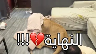 النهاية …