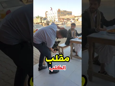 مقلـ.ـب اكلنا الكلب الدجاجه