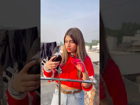 😭 डॉक्टर के पास गया कबूतर😲#kabutar #dosti #video ❤️#kabutar #dosti #video #pigeon #training #video