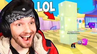 Der Roblox DHL Simulator!