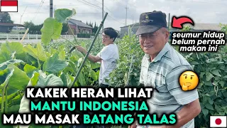 MANTU INDONESIA ADA" SAJA! KATANYA MAU MASAK BATANG TALAS