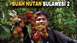 Berburu buah-buahan hutan 🔥rujak buah hutan  😋