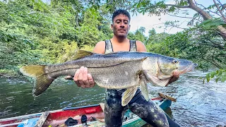 Pescando y cocinando robalos gigantes con arpón en arroyo cristalino, por 3 días en la selva.