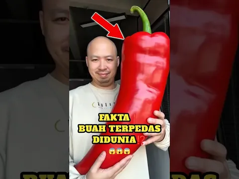 Hah😱,Buah Terpedas Didunia ⁉️