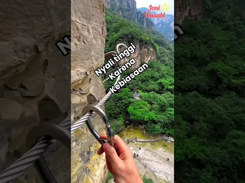 Nyali tinggi karena kebiasaan