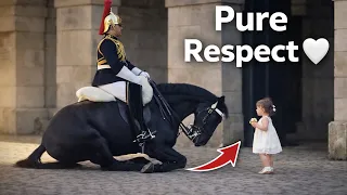 Beautiful Moments of Respect Between Animals and People