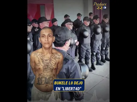BUKELE LO ILUSI0NO