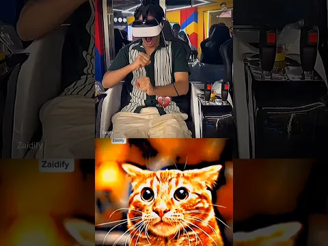 give this video title (warning answer) #cat #meme #dance #trending