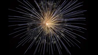 Wowa в прямом эфире!