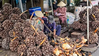 [Full] Amazing Giant Fruit - Nipa Palm Fruit Cutting Skills