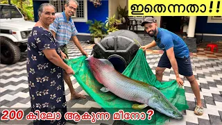 “Surprise” ആയിട്ട് മേടിച്ച മീൻ TANK പൊളിച്ചു!! | GIANT fish destroyed my Tank