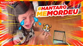 O hamster da Tia Dani mordeu a Sofia