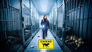 Ces animaux sont morts ici ! Voilà ce qu'ils cachaient...🥶