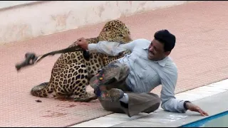 عندما تهاجم الحيوانات المفترسة البشر هذا ما يحدث جزء 7