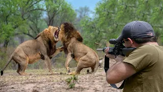 الاسود لا تتراجع 😱👌👍 الجزء 2