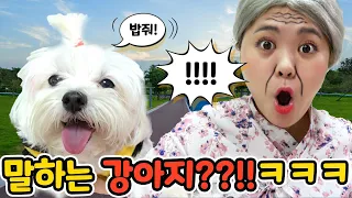 [ENG sub]말하는 강아지가 있다??! ㅋㅋ할머니도 놀란 사랑이 오징어게임 성대모사 개인기 | HIU VLOG 하이로그