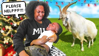 KEN SAVED KASEN FROM GETTING CAUGHT BY WILD ANIMALS! | VLOGMAS DAY 15