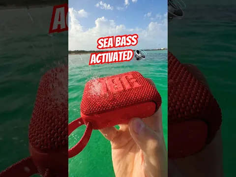 GO 4 Returns to the Sea