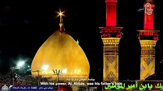 موكب بني عامر - زيارة الاربعين 1445هــ  -  كربلاء المعلاة