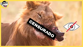 ¿La Naturaleza Es Cruel?