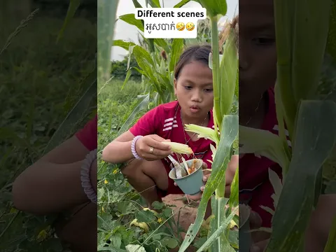 Different scenes អូសបាក់ 🤣🤣 #អូសបាក់ #funny #wildrice #edit #food #eatwild
