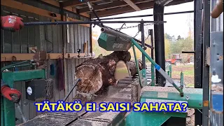 Sahaus, jossa ei ole mitään järkeä – Rakkaudesta lajiin!