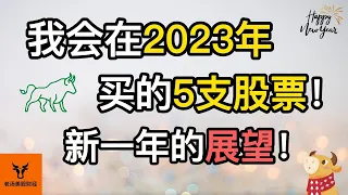 我会在2023年买的5支股票! 新一年的展望!【美股分析】