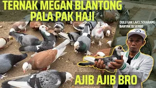 Grebeg Peternak Spesilais Merpati Megan Blantong Jembros Mas Irva Jati Asih Bekasi