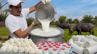 How To Make Cheese , Butter and Ghee From Milk At Home | Easy Step-by-Step
