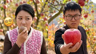 Anh Chuẩn và chị dâu Chuẩn: Khi anh Chuẩn dạy dỗ đồ ngốc ăn táo #AnhChuan #funny