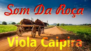 🔴 AO PÉ DA VIOLA - Só Modão De Viola e um Passeio Pelo Interior #modao #sertanejo #sertanejoraiz