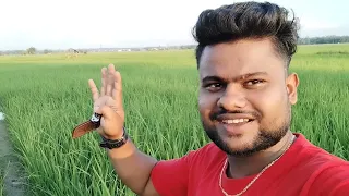 vlog no. 4 #khet ki hariyali & Fishing local boys..sunday special.