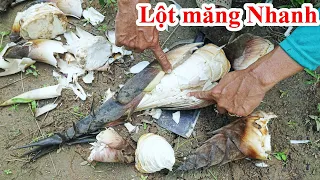 Hướng Dẫn Cách Lột Vỏ Măng Đơn Giản Mà Ít Ai Biết Đến/ Hành Trình Đi Sắn Măng Rừng young bamboo tree