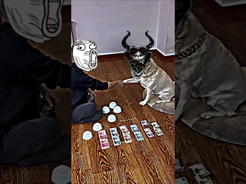 Sigma Dog ☠️ 🗿 #trollface #sigma #shots