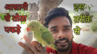 Parrot kaise pakre || kon sa tree pr milega || tota ke bare me jane || Parrot ||  Part -2