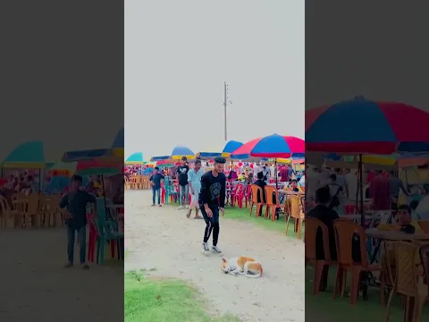 😂 Crazy dog reaction flip