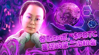 PBTC 的通缩革命——未来最强的 Solana 代币？