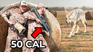 We Hunted Coyotes with a 50 Cal Sniper Rifle! (Again)