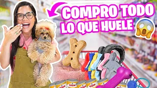 COMPRO TODO LO QUE MI PERRO TOCA EN LA TIENDA 😱 Mi Princesa Miniatura Marie 😅 El Mundo de Camila