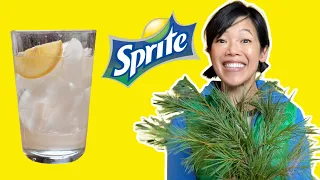 How To Make Sprite From PINE NEEDLES | Pine Needle Soda
