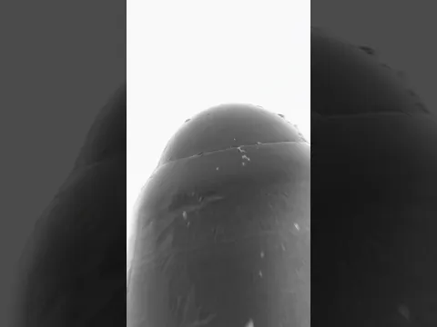 High Altitude Infinite Superzoom#closeup #infinity #loop #transition #microscope #microscopy