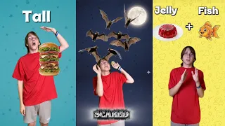 Fun English for Kids | Synonyms, Antonyms, and More | Learn english with Liova #funny #english