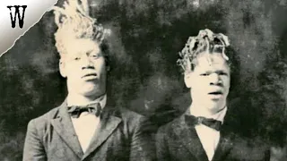 The STRANGE CASE of George and Willie Muse